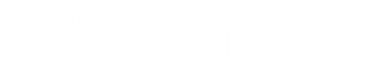 BridgeCom Logo
